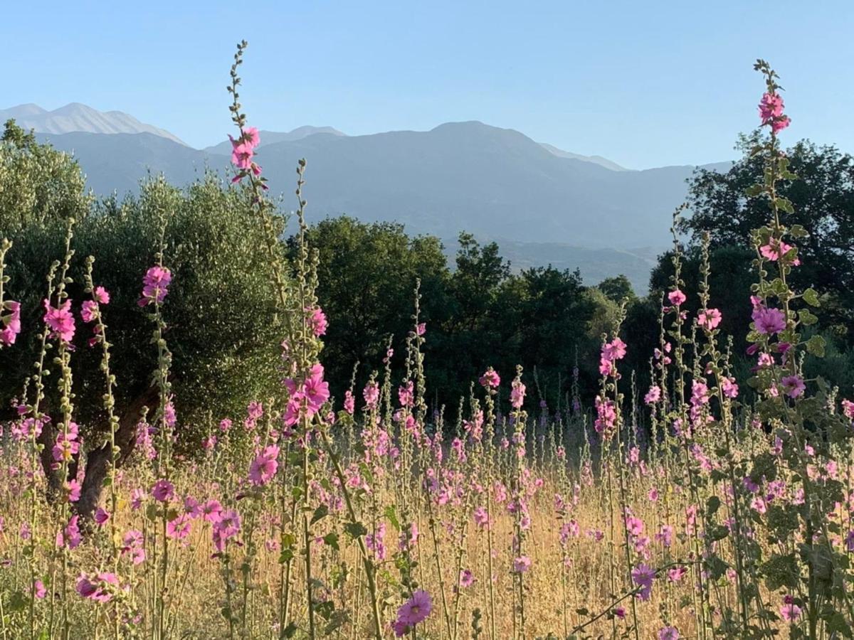 Villa Fatima Βρύσες Εξωτερικό φωτογραφία